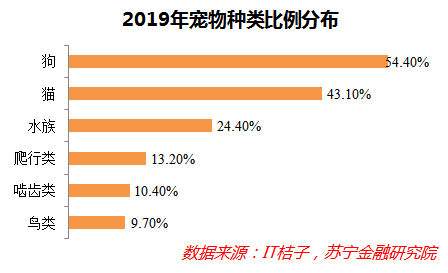 深度解码宠物经济：吸猫撸狗背后，正在崛起的千亿级生意