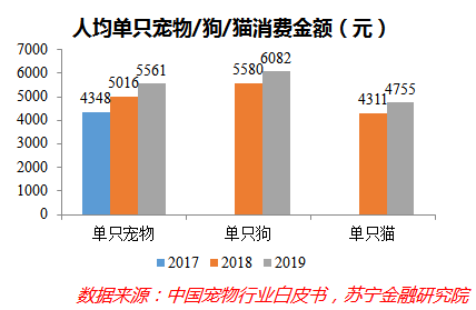 深度解码宠物经济：吸猫撸狗背后，正在崛起的千亿级生意