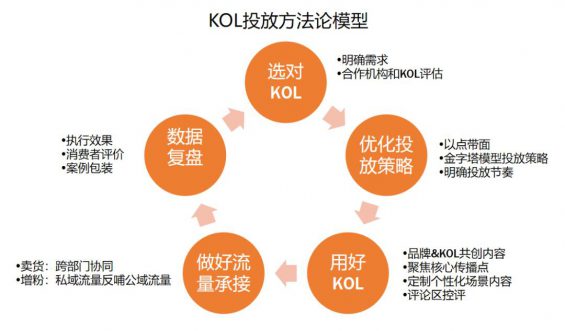 713 被广告公司忽悠怕了！吐血整理3000万买来的KOL高转化投放3.0版！