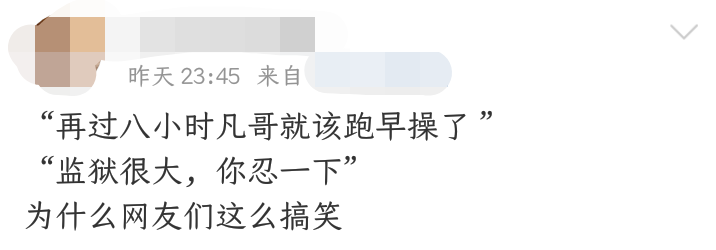 从郑爽到吴亦凡：网络梗文化的繁荣与迷茫