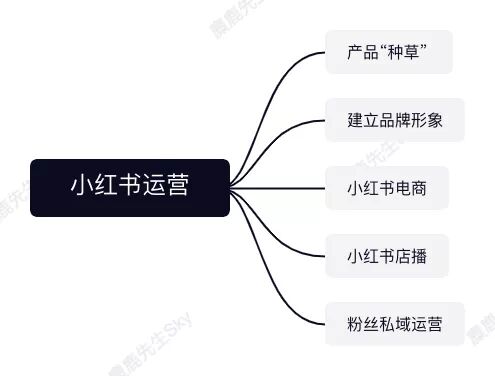 413 小红书运营团队组织架构设计方案