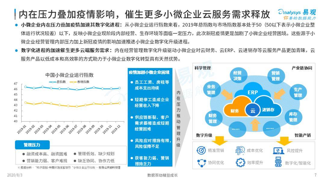 2020中国小微企业云服务市场专题分析