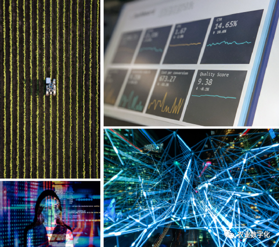 从业务价值，(抖音上热门的句子)，洞察智慧农业和数字农业的差异