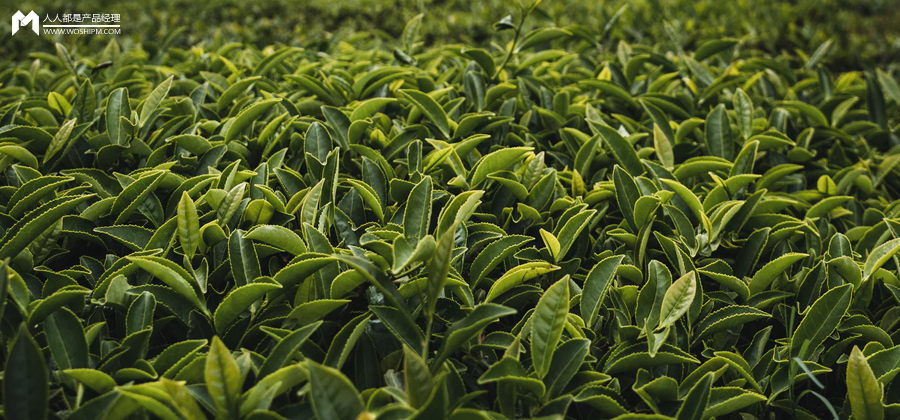 中国电商茶行业发展趋势分析