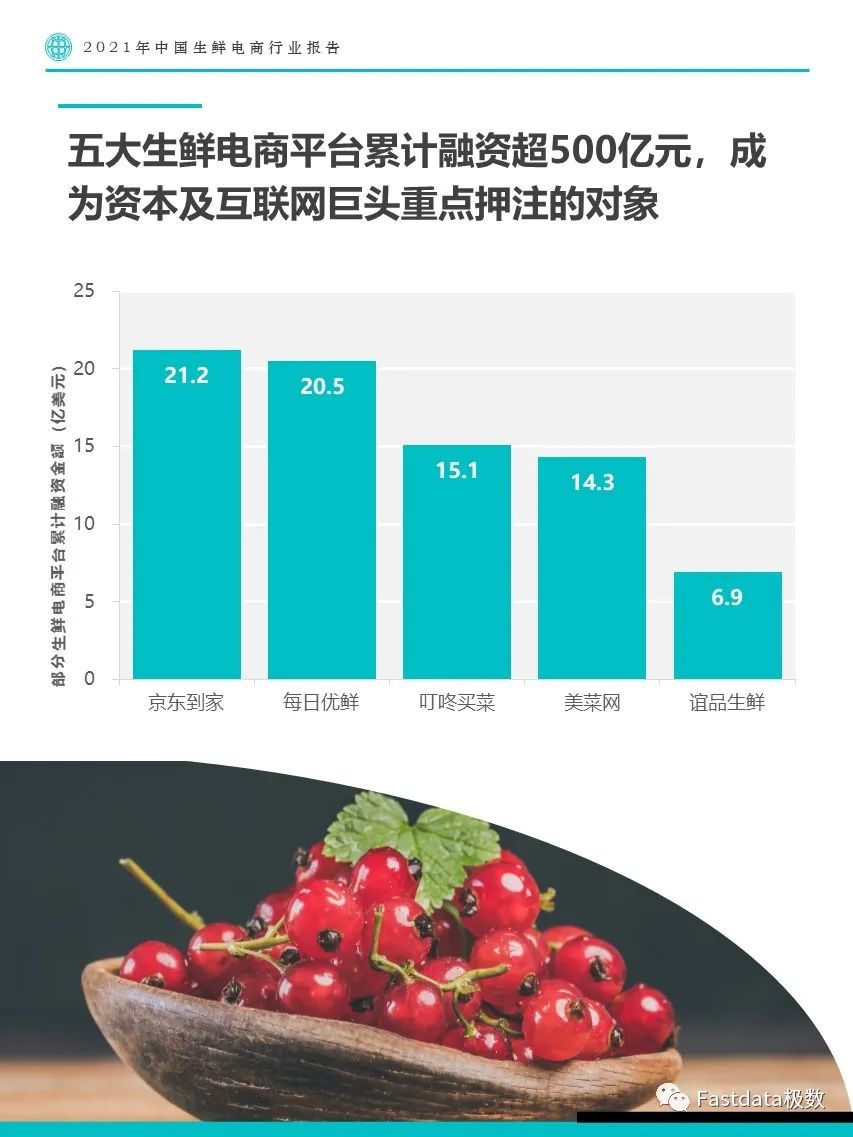 Fastdata极数：2021年中国生鲜电商行业报告