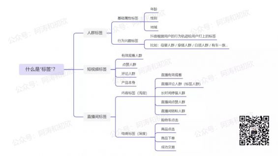 92 抖音电商算法深度解析，讲透权重&流量分配原理