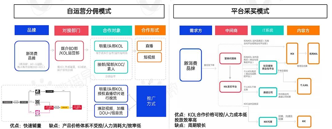 2022年新消费品牌的十一个趋势预判｜研究报告