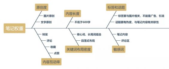 791 如何利用小红书搜索位引流精准粉丝？