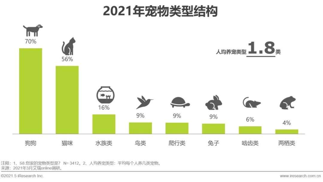 猫狗已无法满足年轻人：蟑螂、蜥蜴、鳄鱼，“异宠”来了