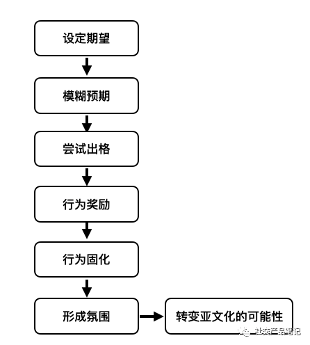 主流文化和亚文化：社交产品的核心竞争力究竟是什么？