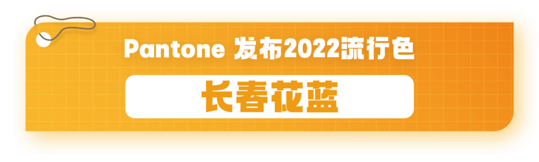 总结2021？疫苗、YYDS、元宇宙、破防了……